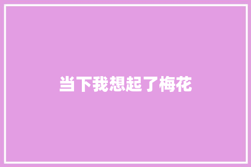当下我想起了梅花