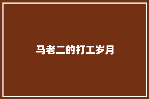 马老二的打工岁月
