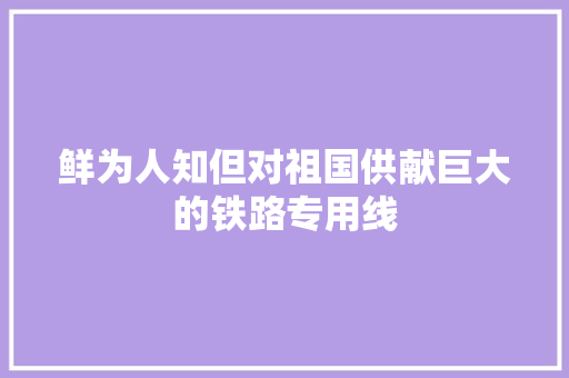 鲜为人知但对祖国供献巨大的铁路专用线