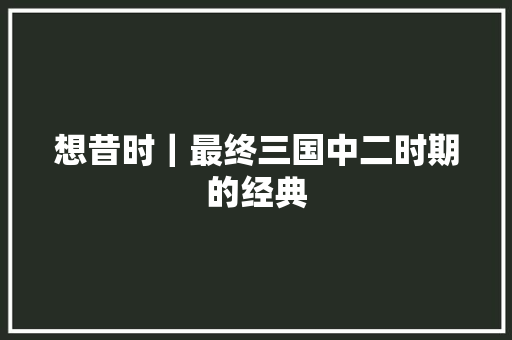 想昔时｜最终三国中二时期的经典