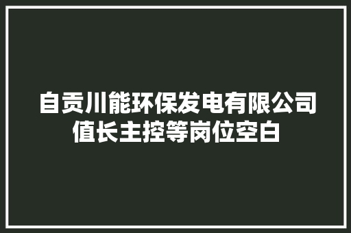 自贡川能环保发电有限公司值长主控等岗位空白