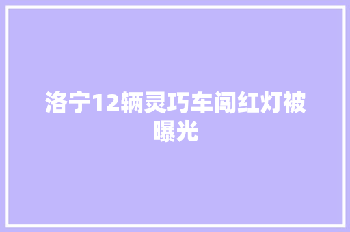 洛宁12辆灵巧车闯红灯被曝光