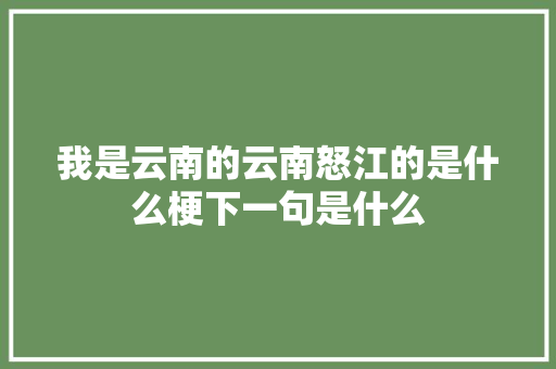 我是云南的云南怒江的是什么梗下一句是什么