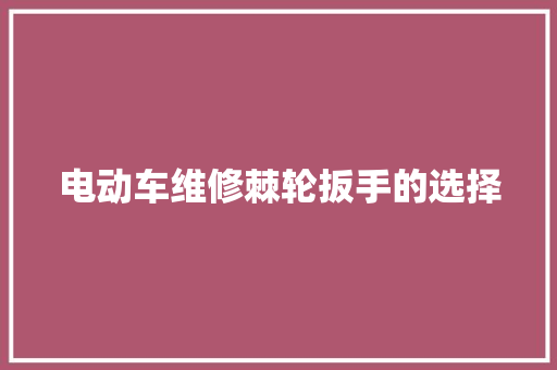 电动车维修棘轮扳手的选择