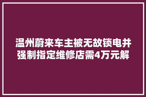 温州蔚来车主被无故锁电并强制指定维修店需4万元解锁