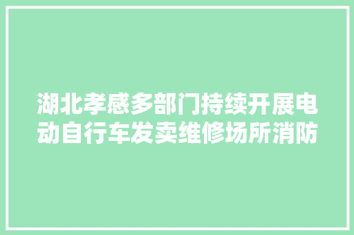 湖北孝感多部门持续开展电动自行车发卖维修场所消防安然专项检查
