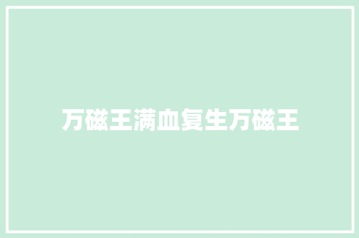 万磁王满血复生万磁王