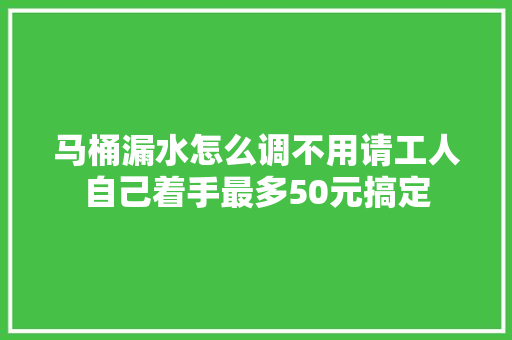 马桶漏水怎么调不用请工人自己着手最多50元搞定