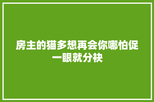 房主的猫多想再会你哪怕促一眼就分袂