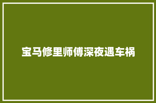 宝马修里师傅深夜遇车祸