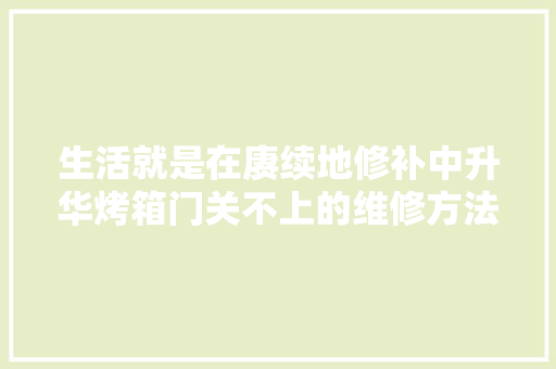 生活就是在赓续地修补中升华烤箱门关不上的维修方法