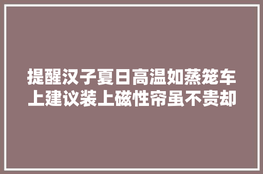 提醒汉子夏日高温如蒸笼车上建议装上磁性帘虽不贵却管用