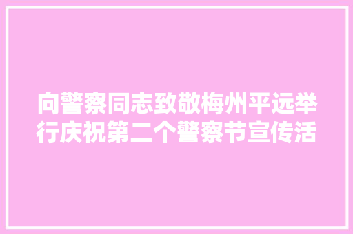 向警察同志致敬梅州平远举行庆祝第二个警察节宣传活动