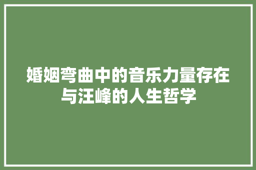 婚姻弯曲中的音乐力量存在与汪峰的人生哲学