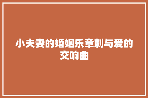 小夫妻的婚姻乐章刺与爱的交响曲