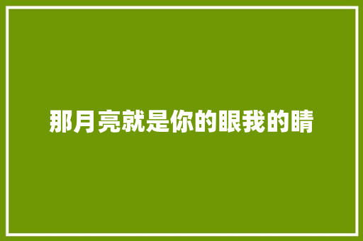 那月亮就是你的眼我的睛