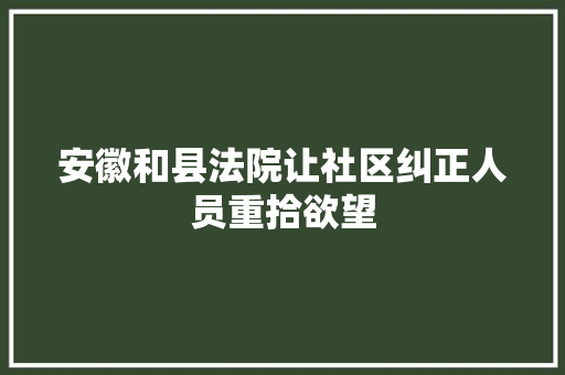 安徽和县法院让社区纠正人员重拾欲望