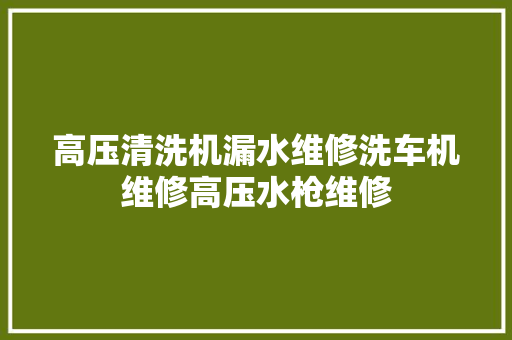 高压清洗机漏水维修洗车机维修高压水枪维修
