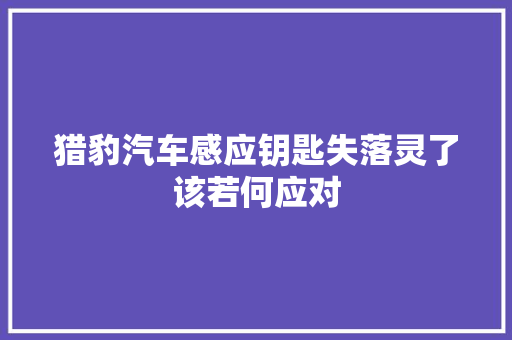 猎豹汽车感应钥匙失落灵了该若何应对 汽车知识