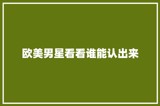 欧美男星看看谁能认出来