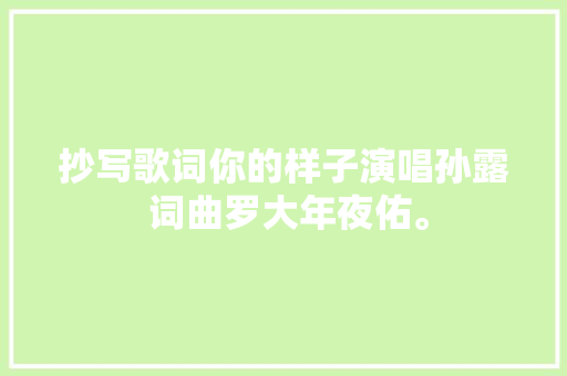 抄写歌词你的样子演唱孙露 词曲罗大年夜佑。