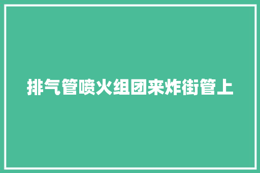 排气管喷火组团来炸街管上