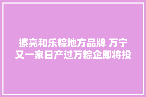 擦亮和乐粽地方品牌 万宁又一家日产过万粽企即将投产