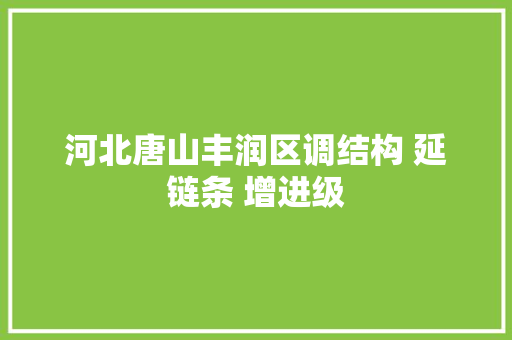 河北唐山丰润区调结构 延链条 增进级