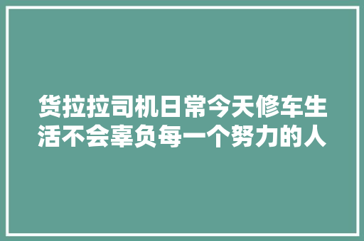 货拉拉司机日常今天修车生活不会辜负每一个努力的人