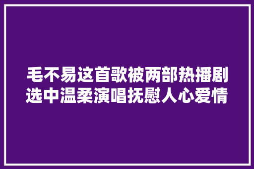 毛不易这首歌被两部热播剧选中温柔演唱抚慰人心爱情不雅观很正