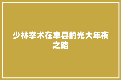 少林拳术在丰县的光大年夜之路