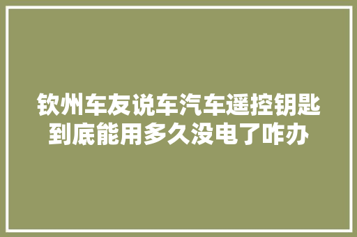 钦州车友说车汽车遥控钥匙到底能用多久没电了咋办