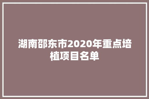 湖南邵东市2020年重点培植项目名单