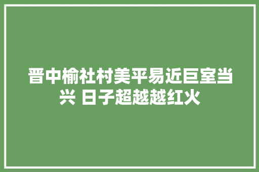 晋中榆社村美平易近巨室当兴 日子超越越红火