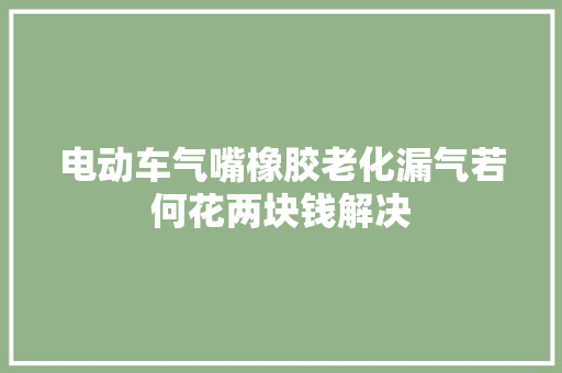 电动车气嘴橡胶老化漏气若何花两块钱解决