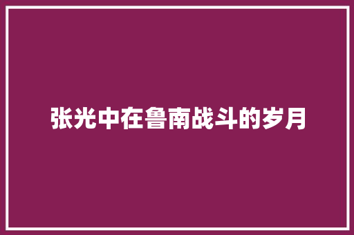 张光中在鲁南战斗的岁月