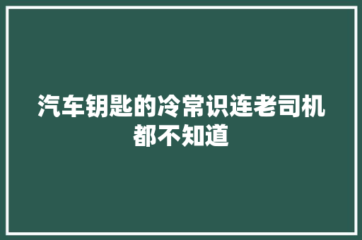 汽车钥匙的冷常识连老司机都不知道 汽车知识