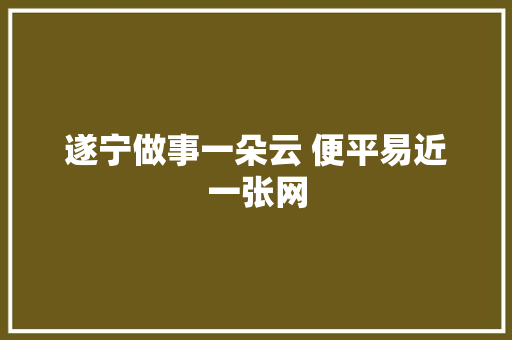 遂宁做事一朵云 便平易近一张网