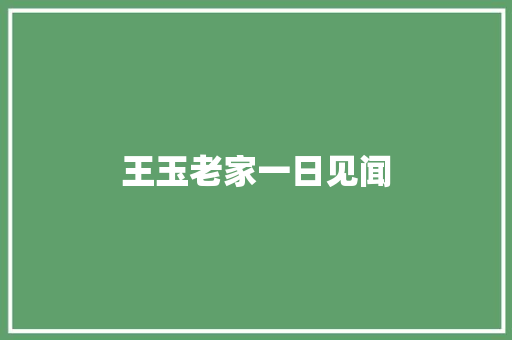 王玉老家一日见闻