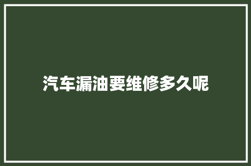 汽车漏油要维修多久呢