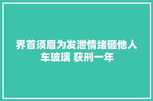 界首须眉为发泄情绪砸他人车玻璃 获刑一年