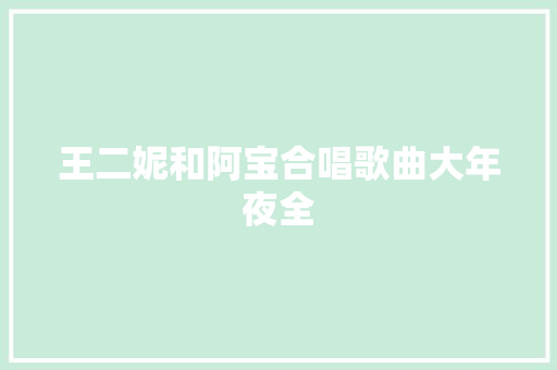 王二妮和阿宝合唱歌曲大年夜全