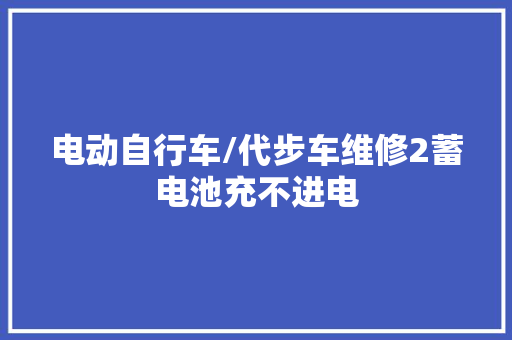 电动自行车/代步车维修2蓄电池充不进电