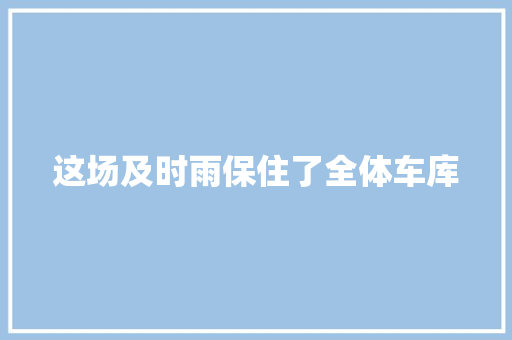 这场及时雨保住了全体车库
