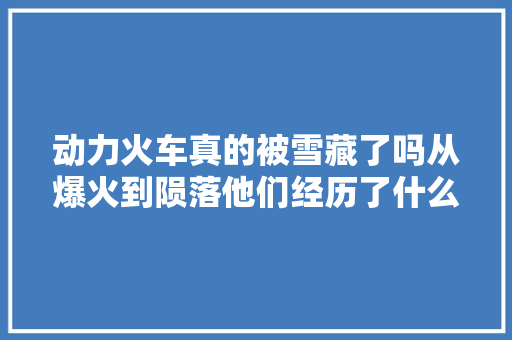 动力火车真的被雪藏了吗从爆火到陨落他们经历了什么