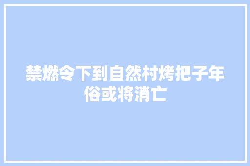 禁燃令下到自然村烤把子年俗或将消亡