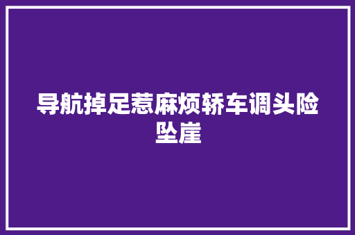 导航掉足惹麻烦轿车调头险坠崖