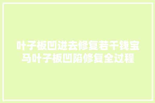 叶子板凹进去修复若干钱宝马叶子板凹陷修复全过程