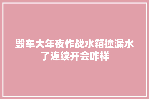 毁车大年夜作战水箱撞漏水了连续开会咋样