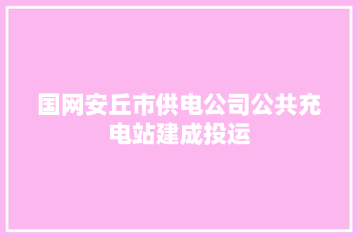 国网安丘市供电公司公共充电站建成投运